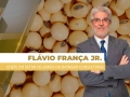 Flávio França Jr. - Chefe do Setor de Grãos da Datagro Consultoria