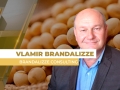 Vlamir Brandalizze - Consultor de Mercado da Brandalizze Consulting