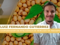 Luiz Fernando Gutierrez - Coordenador de Inteligência de Mercado na Hedgepoint