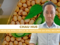 Chau Hue - Head de Inteligência de Mercados da Stag Securities