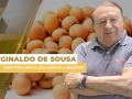 Ginaldo de Sousa - Diretor Geral do Grupo Labhoro