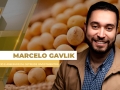 Marcelo Gavlik - Sócio e Assessor da Getreide Investimentos