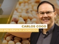 Carlos Cogo - Cogo Inteligência em Agronegócio