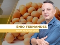 Ênio Fernandes - Consultor em Agronegócio da Terra Agronegócios