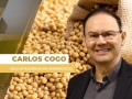 Carlos Cogo - Cogo Inteligência em Agronegócio