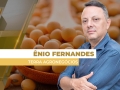 Ênio Fernandes - Consultor em Agronegócio da Terra Agronegócios