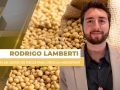 Rodrigo Lamberti - Especialista em Gestão de Riscos para Grãos da Hedgepoint
