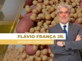 Flávio França Jr. - Chefe do Setor de Grãos da Datagro Consultoria