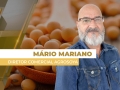 Mário Mariano Moraes Júnior - Diretor Comercial Agrosoya/Novo Rumo Commodities