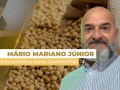 Mário Mariano Moraes Júnior - Diretor Comercial Agrosoya/Novo Rumo Commodities
