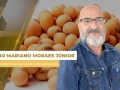 Mário Mariano Moraes Júnior - Diretor Comercial Agrosoya/Novo Rumo Commodities