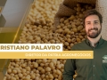 Cristiano Palavro - Diretor da Pátria Agronegócios