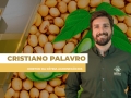Cristiano Palavro - Diretor da Pátria Agronegócios