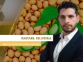 Rafael Silveira - Analista de Soja na Safras & Mercado