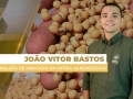 João Vitor Bastos - Analista de Mercado da Pátria Agronegócio