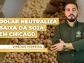 soja yt