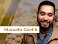 Marcelo Gavlik - Sócio e Assessor da Getreide Investimentos
