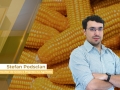 Stefan Podsclan - Consultor de Grãos e Projetos na Agrifatto