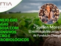 Confira a palestra de Suélen Moreira