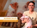 Alvimar Jalles - Consultor de Mercado da ASEMG