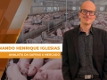 Fernando Henrique Iglesias - Analista da Safras & Mercado