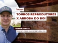 Tamires Neto - Gerente-Geral da agropecuária CFM