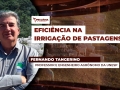 Fernando Tangerino - Professor e Engenheiro Agrônomo da Unesp