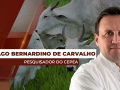 Thiago Bernardino de Carvalho - Pesquisador do Cepea