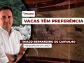 Thiago Bernardino de Carvalho - Pesquisador do Cepea