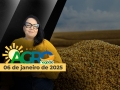 Bom Dia Agro - Com Carla Mendes
