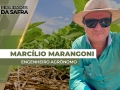Marcílio Fernandes Marangoni - Engenheiro Agrônomo de Darcinópolis - TO