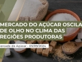 Lucas Brunetti - Analista da Consultoria Agro Itaú BBA