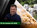 Fechamento de Mercado - Com Aleksander Horta