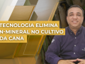 Luciano Antoniol de Almeida - Gerente de Marketing Cana de Açúcar e Floresta na Euroforte