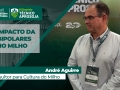 André Aguirre - Consultor para Cultura do Milho