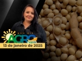 Bom Dia Agro - Com Carla Mendes