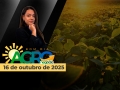 Bom Dia Agro - com Andressa Simão