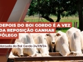 Ronaty Makuko - Consultor Comercial da Pátria Agronegócios