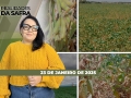 Realidades da Safra - Notícias Agrícolas