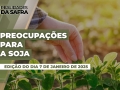 Realidades da Safra