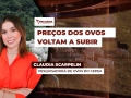 Claudia Scarpelin - Pesquisadora de Ovos do Cepea