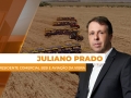 Juliano Prado - Vice- Presidente Comercial B2B e Aviação da Vibra