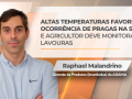 Raphael Malandrino - Gerente de Produtos (Inseticidas) da ADAMA