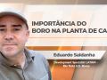 Eduardo Saldanha - Agronomic Development Specialist LATAM na U.S. Borax