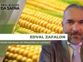 Edval Zafalon - Produtor Rural de Primavera do Leste/MT