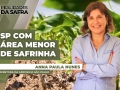 Anna Paula Nunes - Diretora da Aprosoja São Paulo