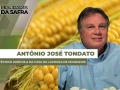 Antônio José Tondato - Produtor Rural - Cândido Mota/SP
