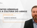 Marcios Morais