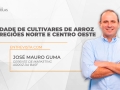 José Mauro Guma - Gerente de Marketing Arroz da BASF