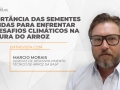 Marcio Morais - Gerente de Desenvolvimento Técnico de Arroz da BASF